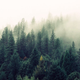 Image: Jay Mantri via Pexels.com